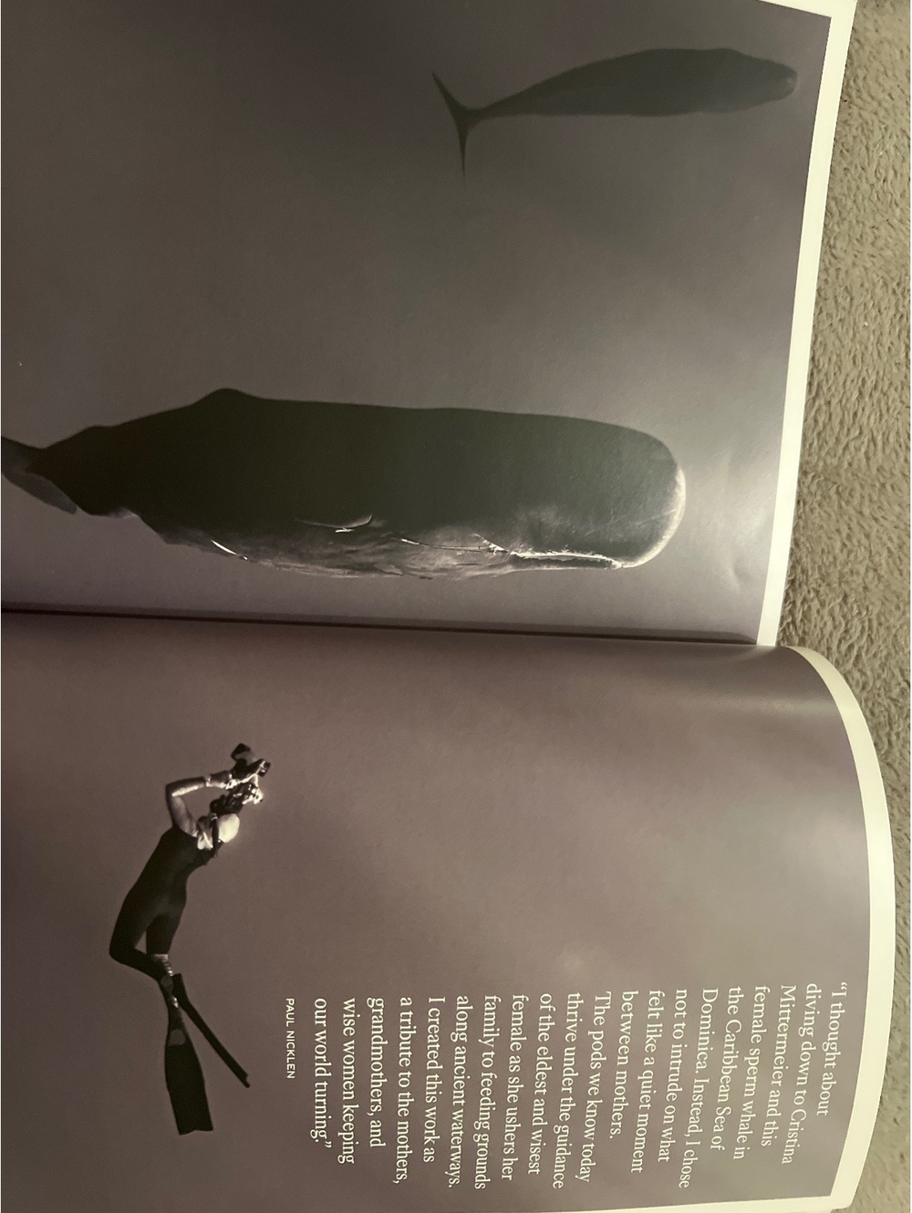 The Rolex Magazine Issue #11 - Picture 6 of 6